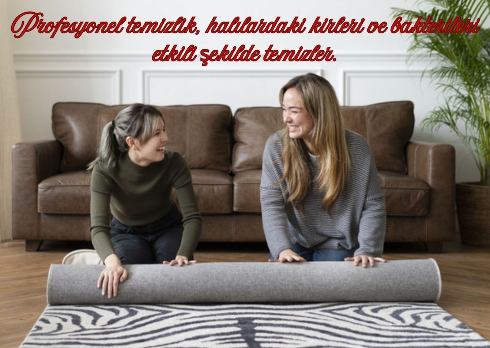 Seyhan Halı Yıkama Kampanyaları
